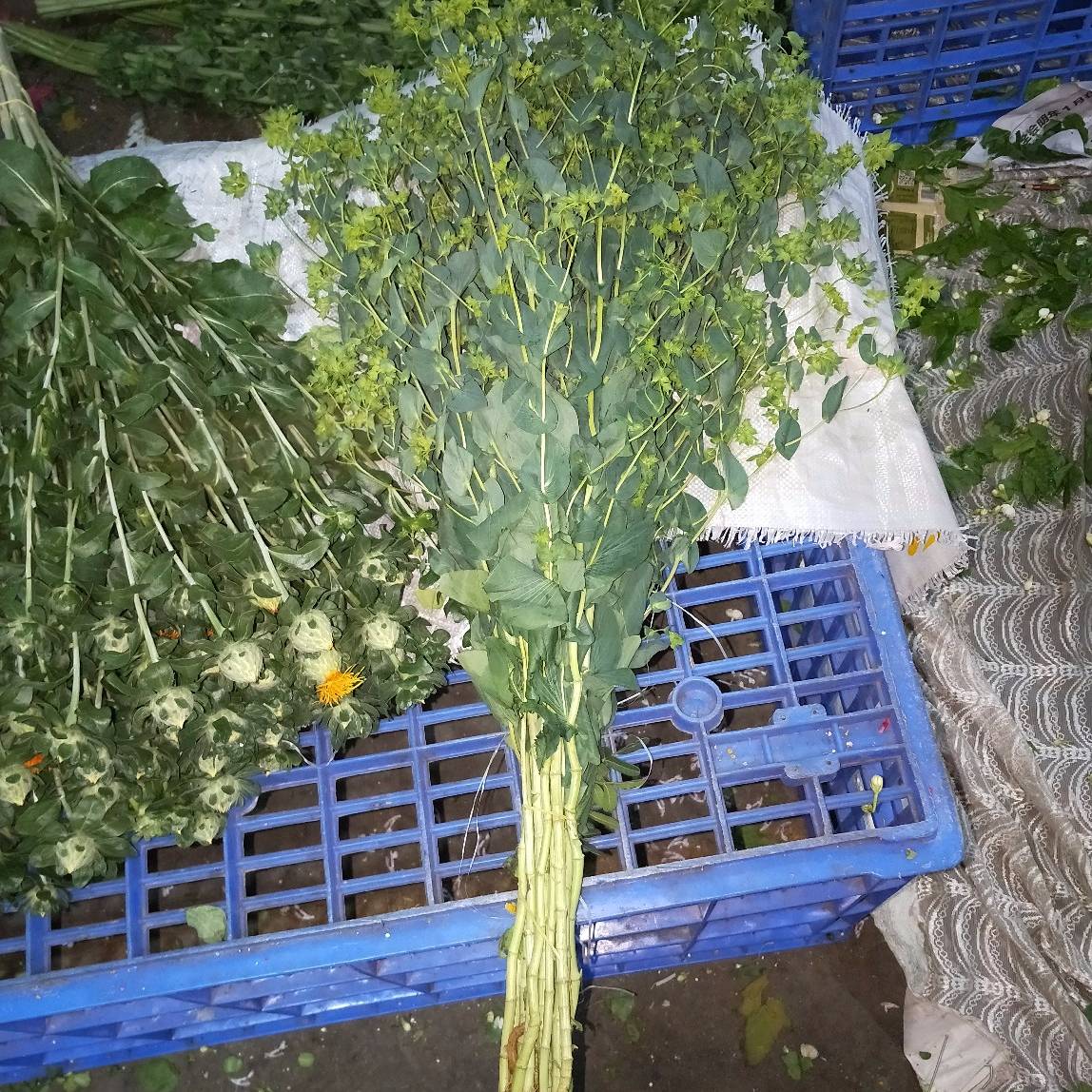 叶上黄金- 花易宝-好货源选大平台