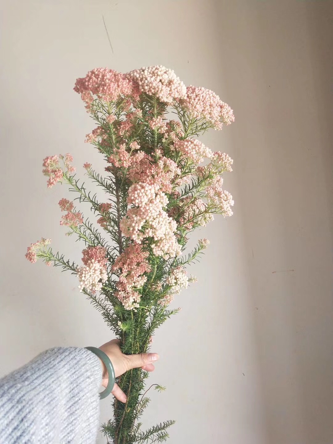 小米花 鲜花 花易宝 好货源选大平台