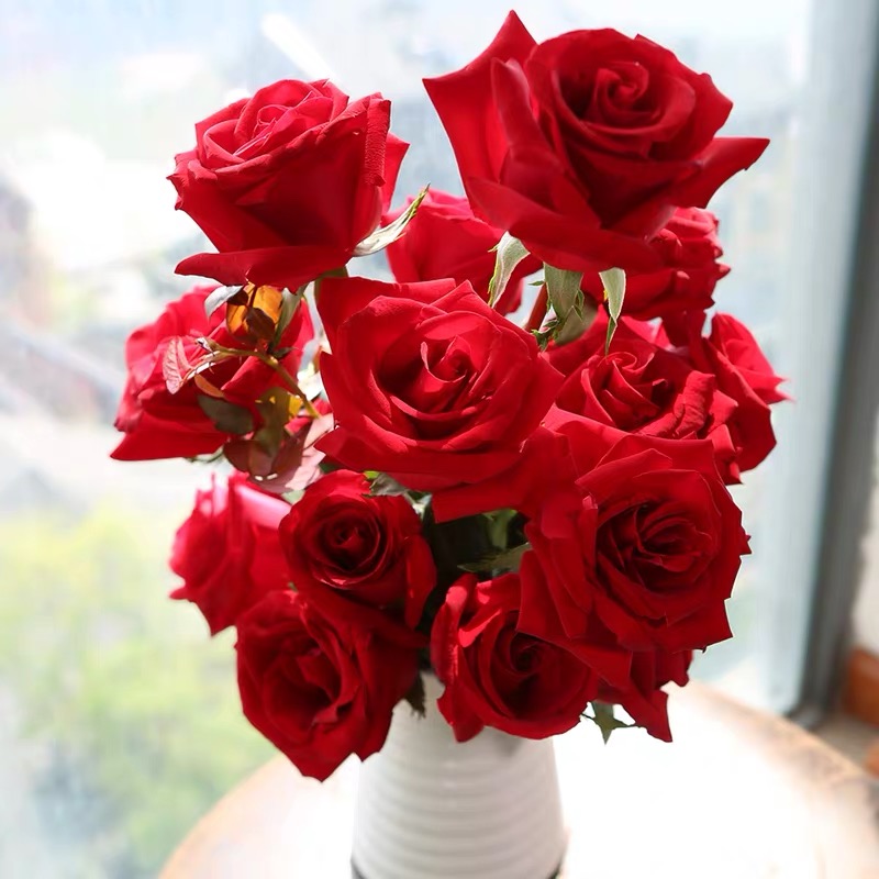 七夕预售与如何选品红玫全品种解析