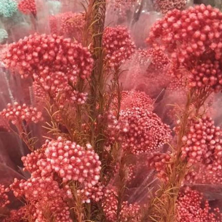 永生花小米花 花易宝 好货源选大平台