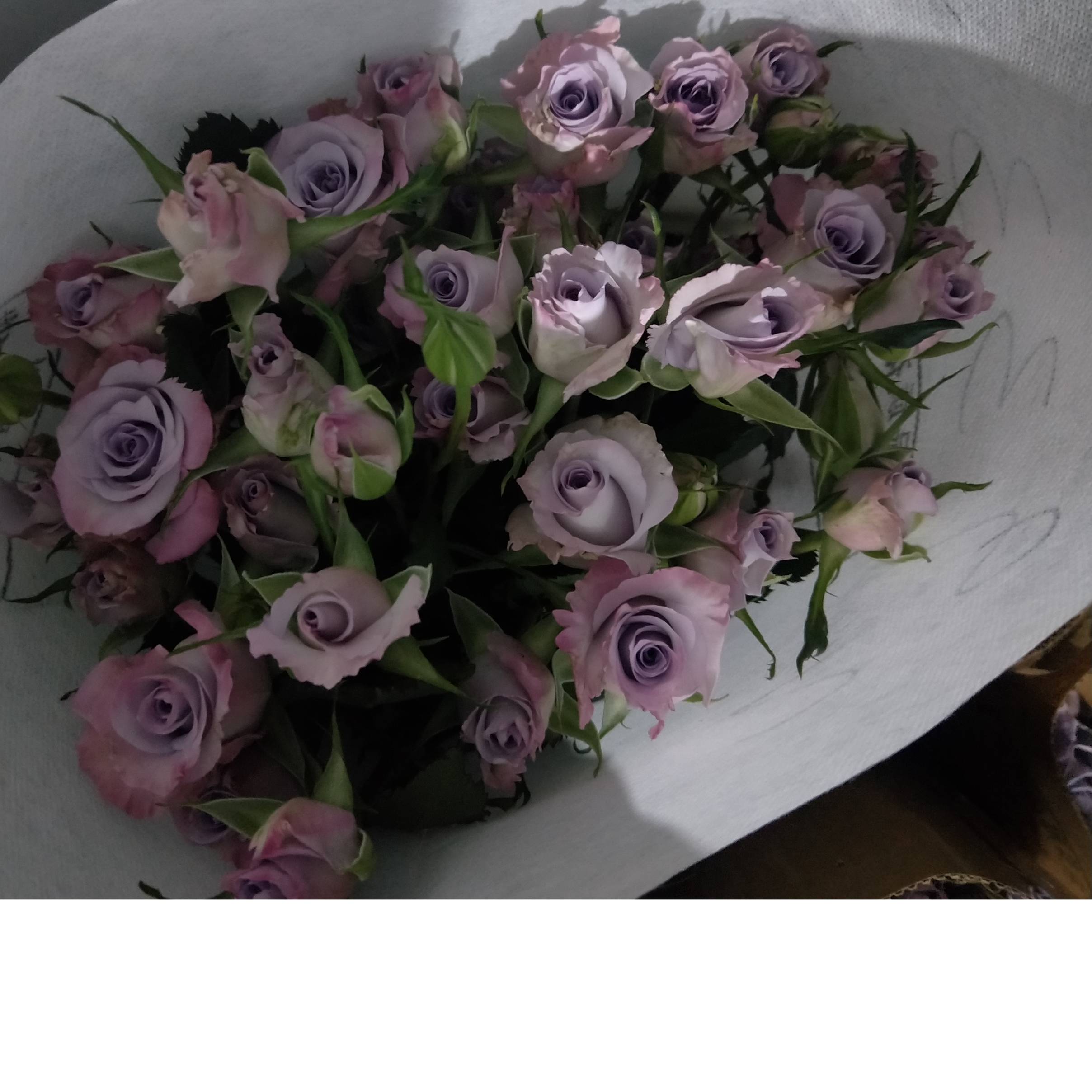 九星蓝狐 花易宝 好货源选大平台