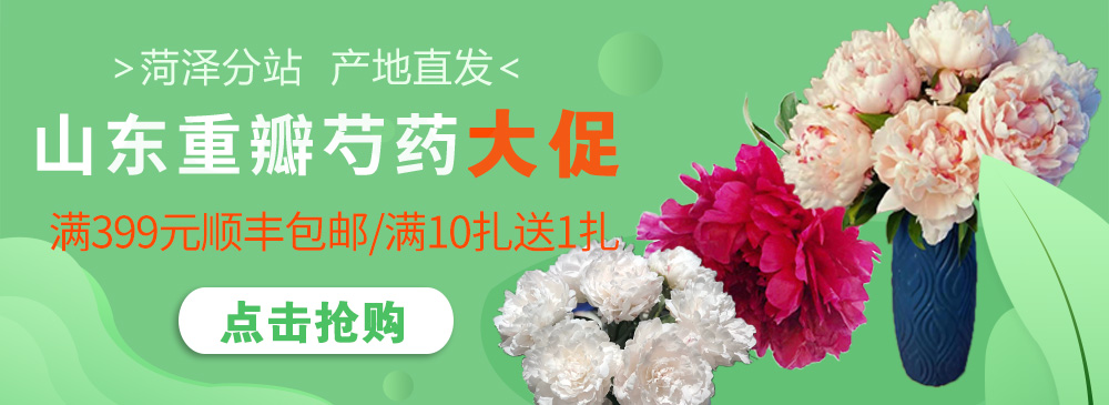 花易宝官网 中国领先的花卉批发电商撮合交易平台