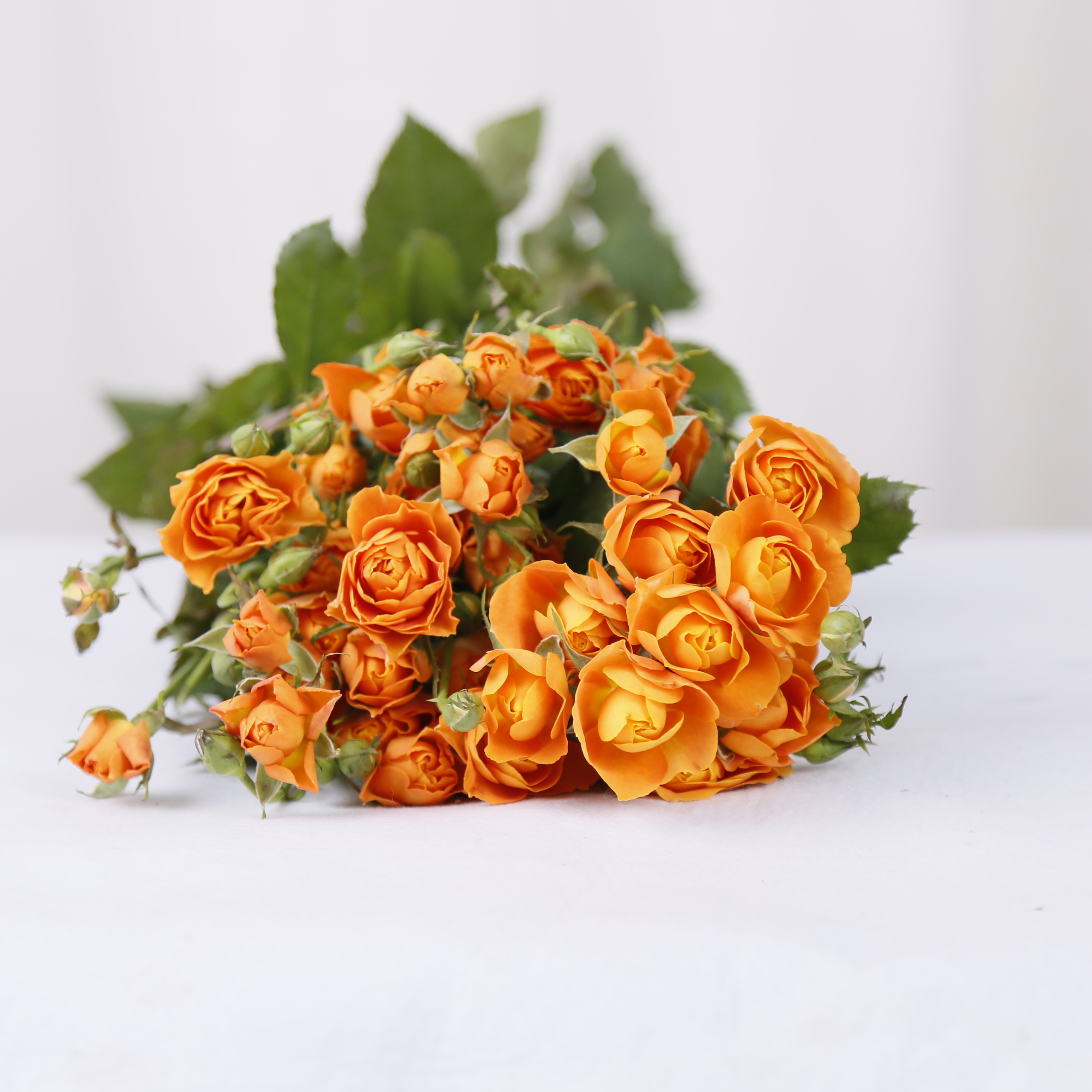 果汁泡泡 花易宝 好货源选大平台 果汁泡泡 花易宝 好货源选大平台