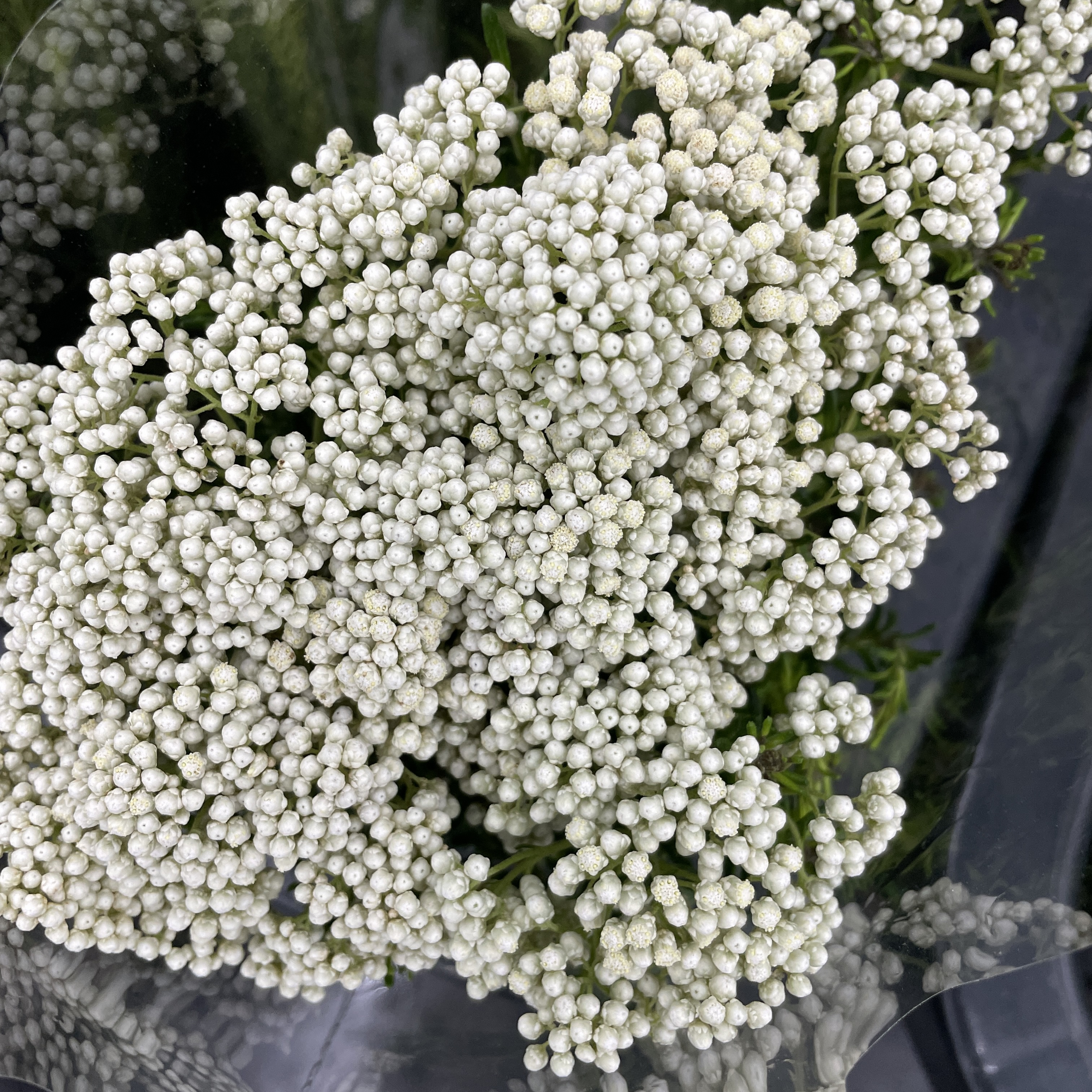 小米花 鲜花 花易宝 好货源选大平台