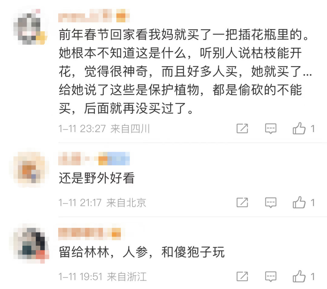 a95edc85939f38a08291e3f69e11acbe.png