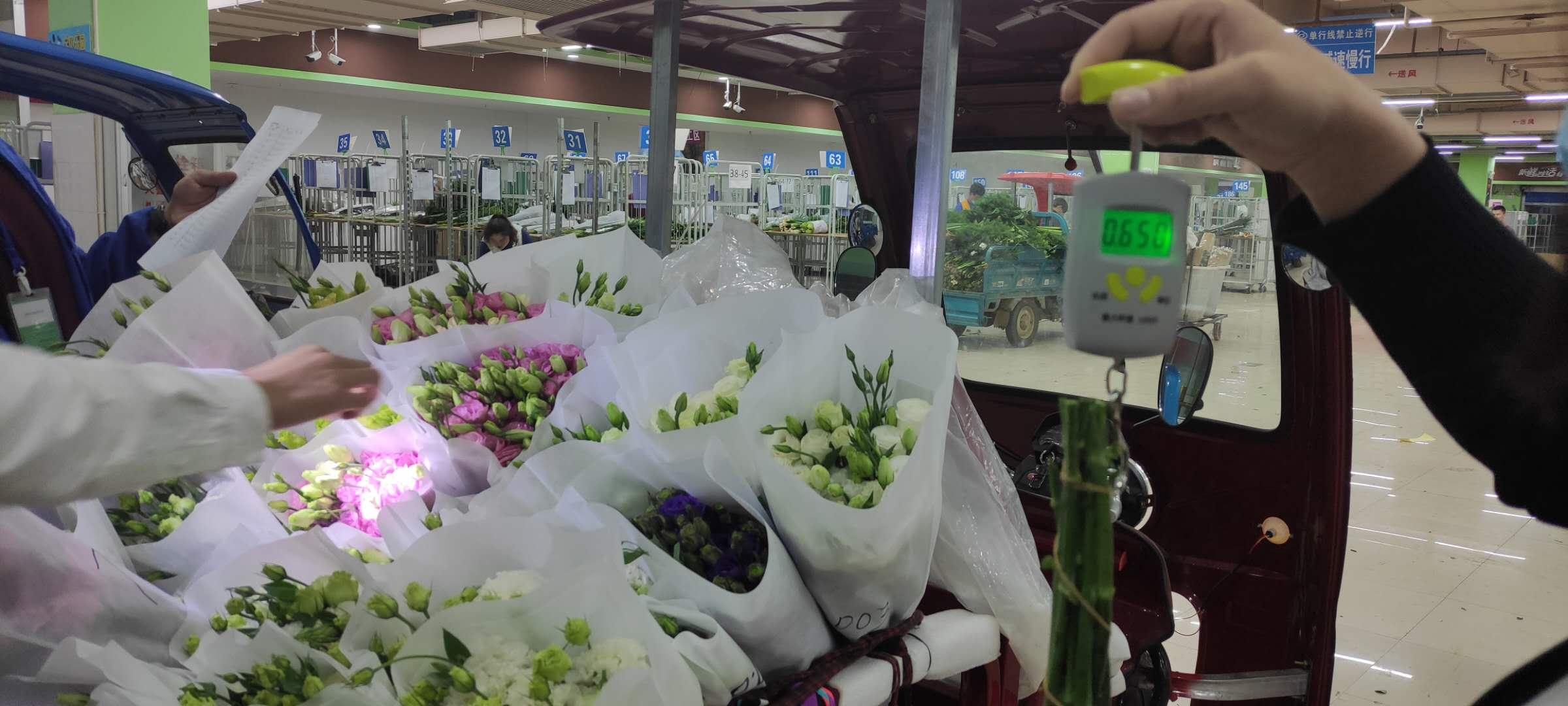 山东绿化花卉批发市场地址