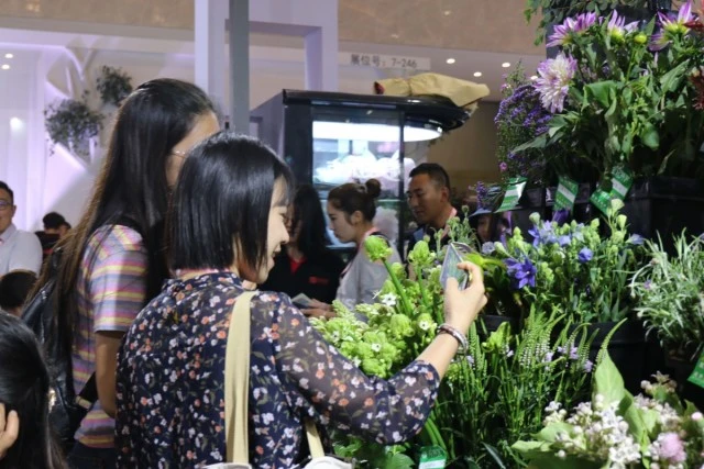 IMG_7062_看图王.jpg