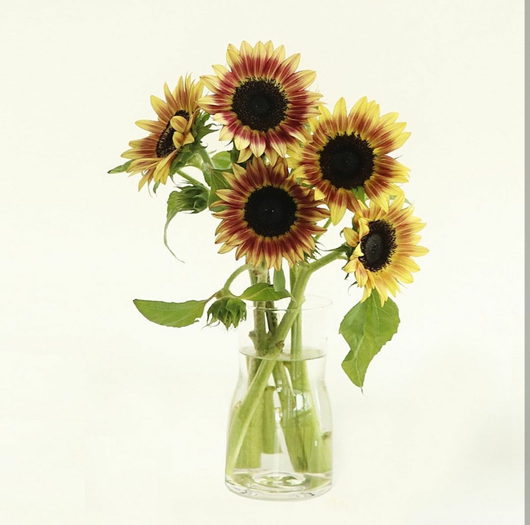 夏季鲜花养护做到这几点让瓶插期更长