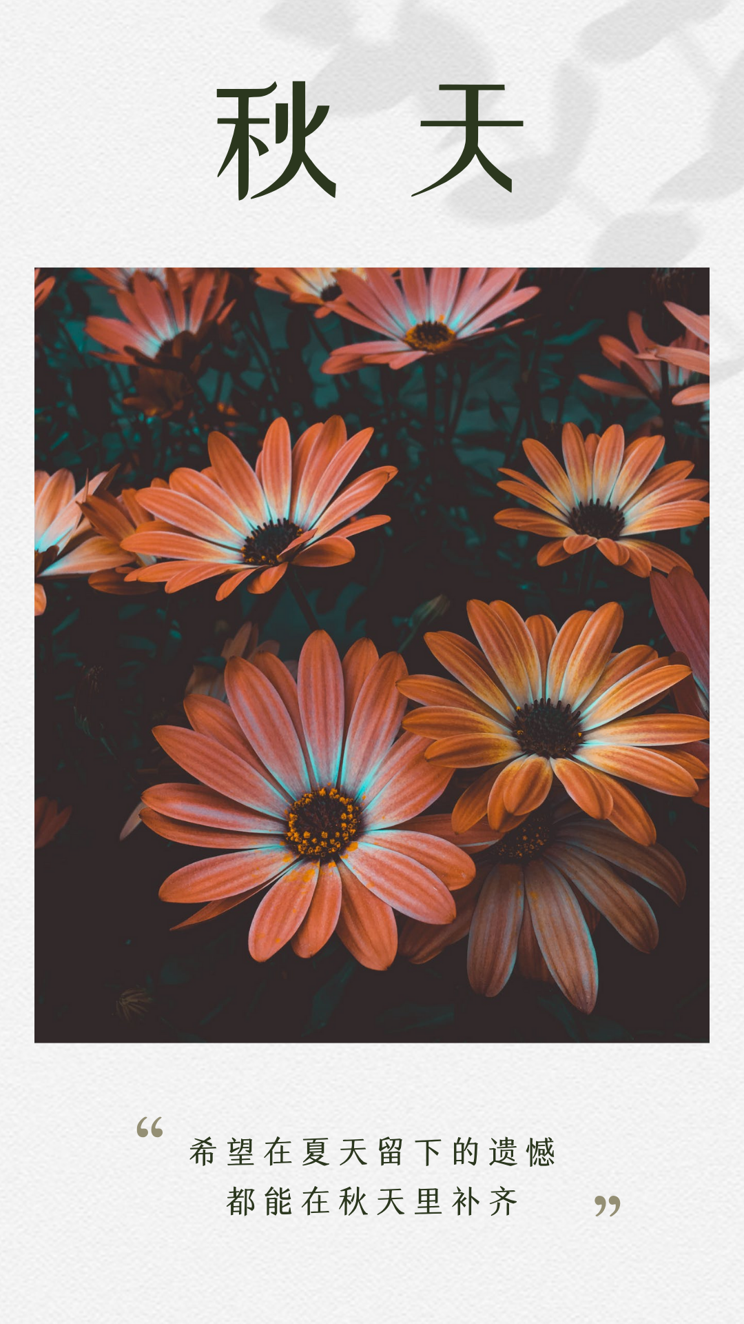 绿灰色早安日签照片分享中文日签 (1).png