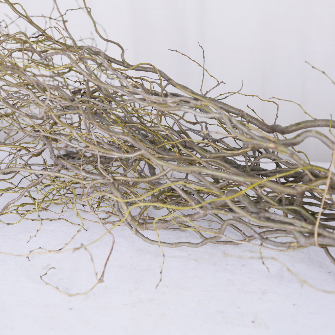 _G7A8798.JPG _G7A8798.JPG