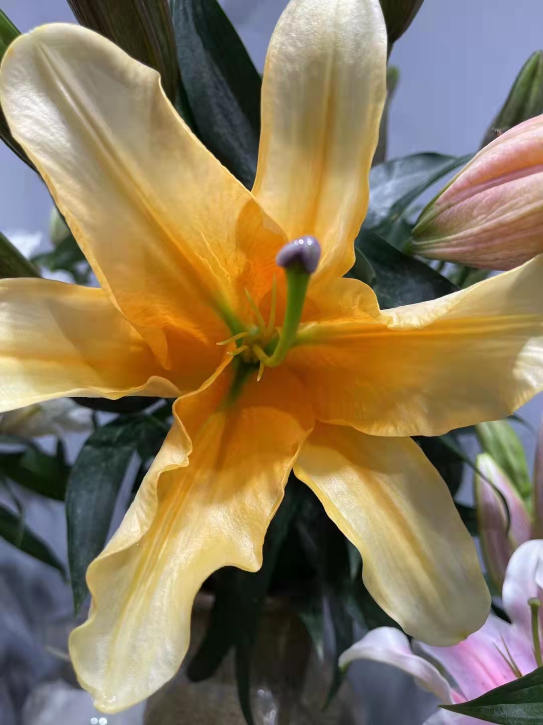 晚霞.jpg 晚霞.jpg