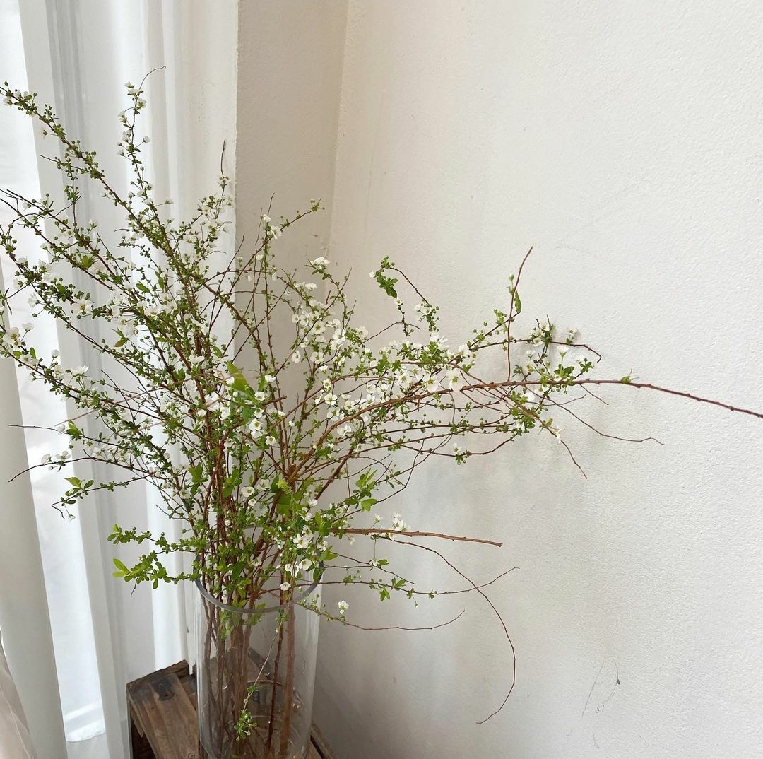 微信图片_202101311121431.jpg 微信图片_202101311121431.jpg