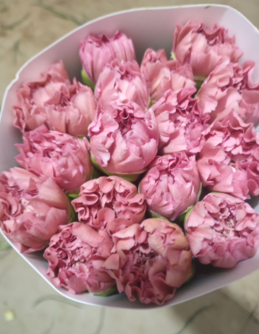 粉墨.jpg 粉墨.jpg