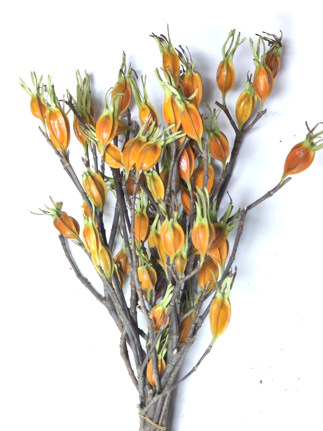 微信图片_202110301350044.jpg 微信图片_202110301350044.jpg