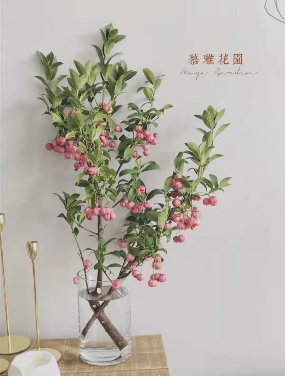 灯笼果.jpg 灯笼果.jpg