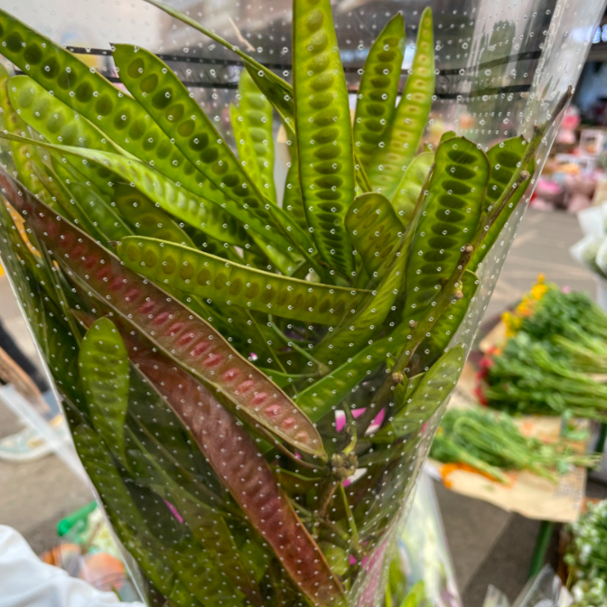 微信图片_202110100911131.jpg 微信图片_202110100911131.jpg