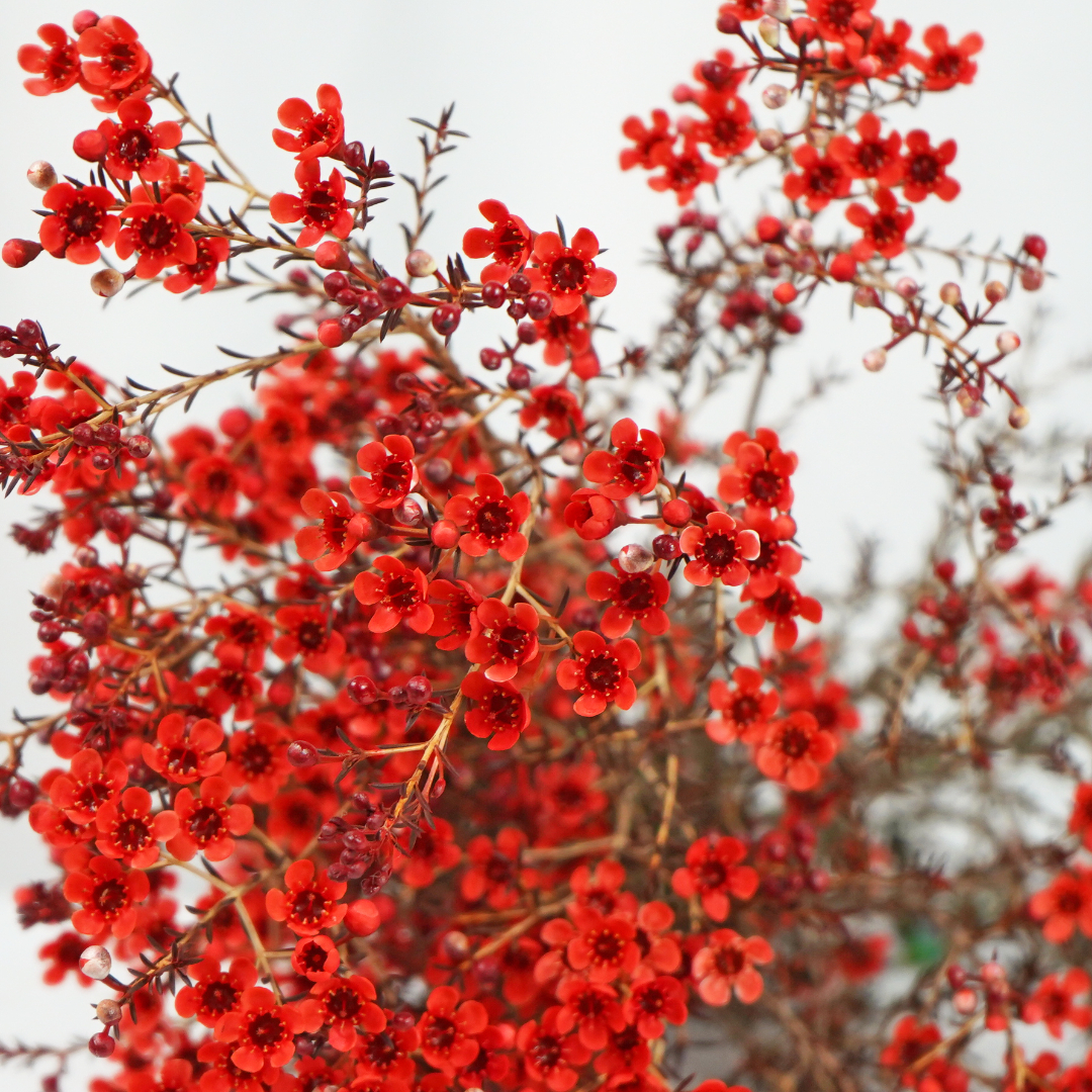 DSC04609.JPG DSC04609.JPG