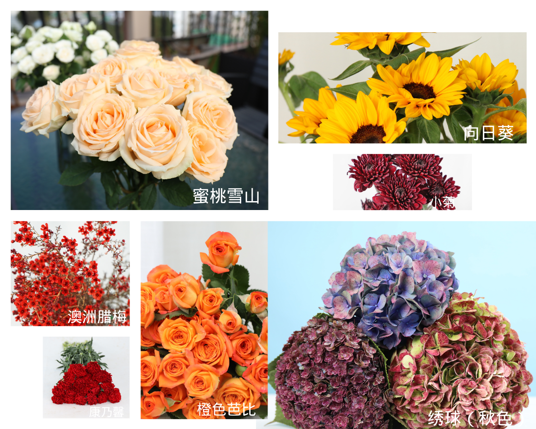 黄褐色拼图照片排版简约分享拼图 (7).png