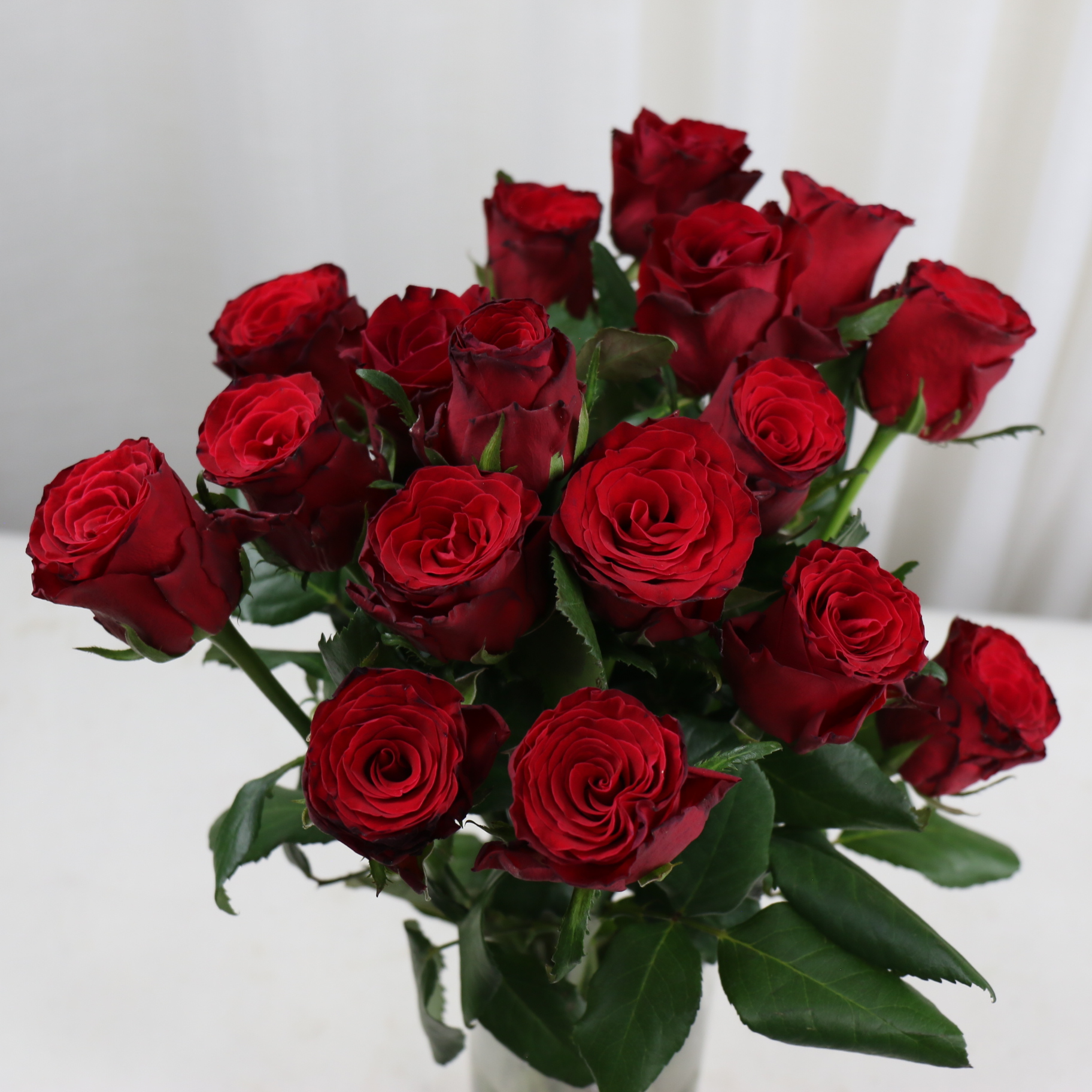 15种花店常备红玫瑰优缺点对比值得收藏