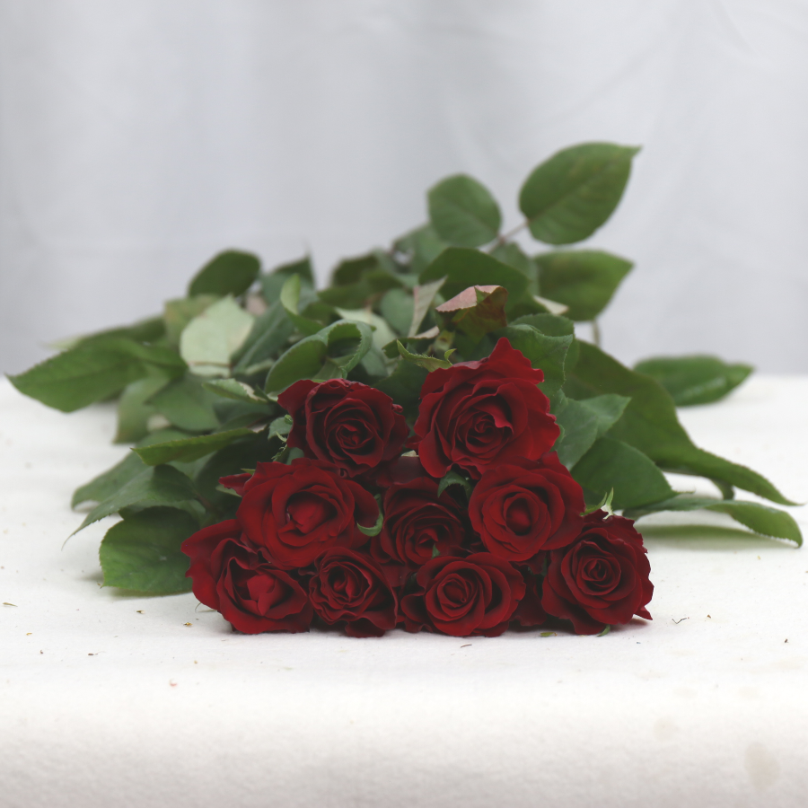 IMG_1218.JPG IMG_1218.JPG