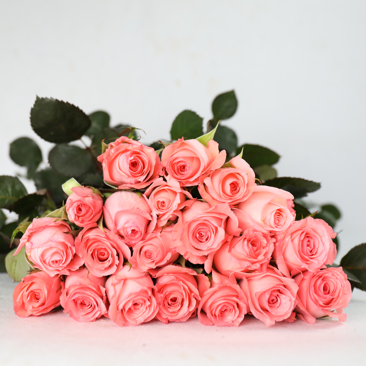 4I7A2825.JPG 4I7A2825.JPG