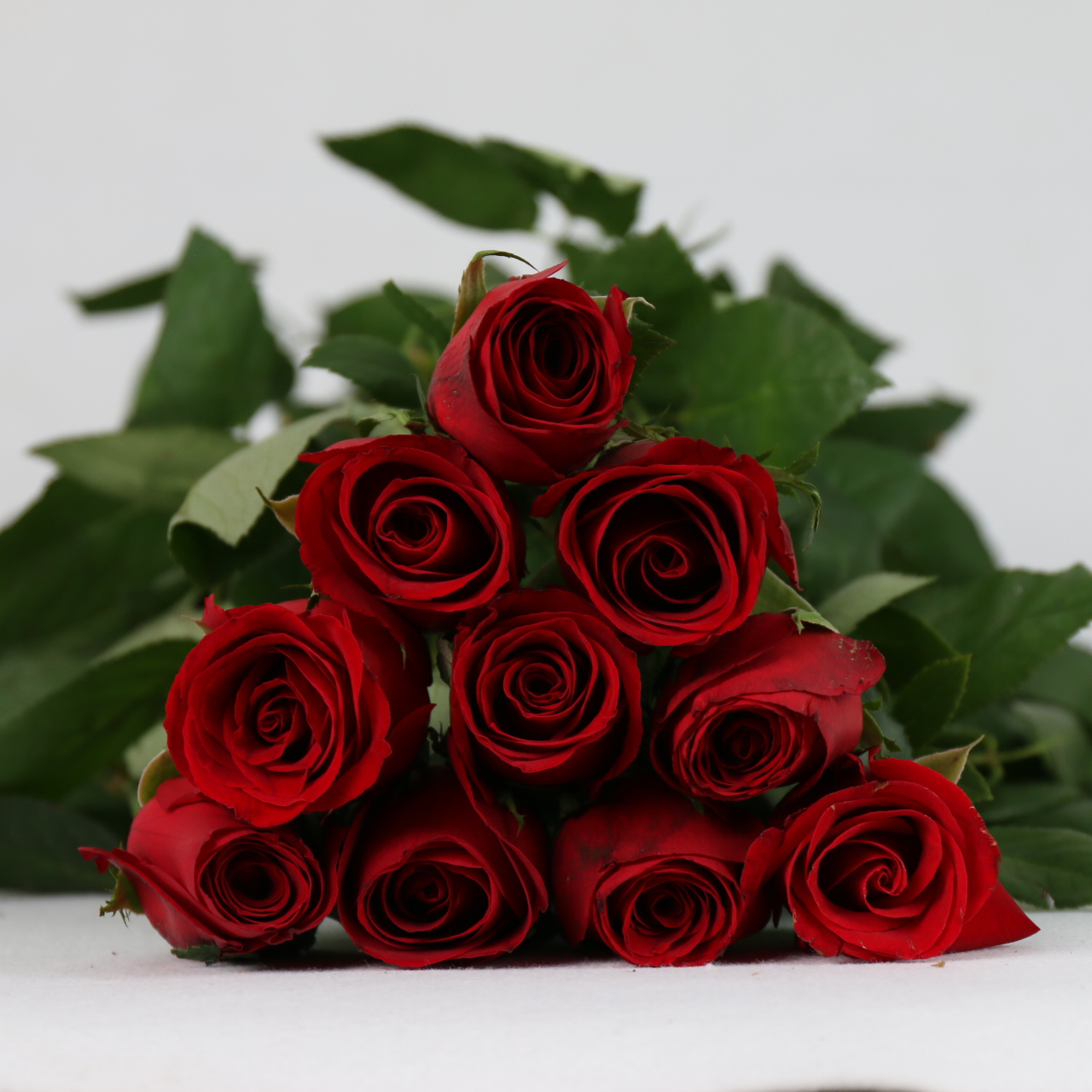 IMG_7519.JPG IMG_7519.JPG