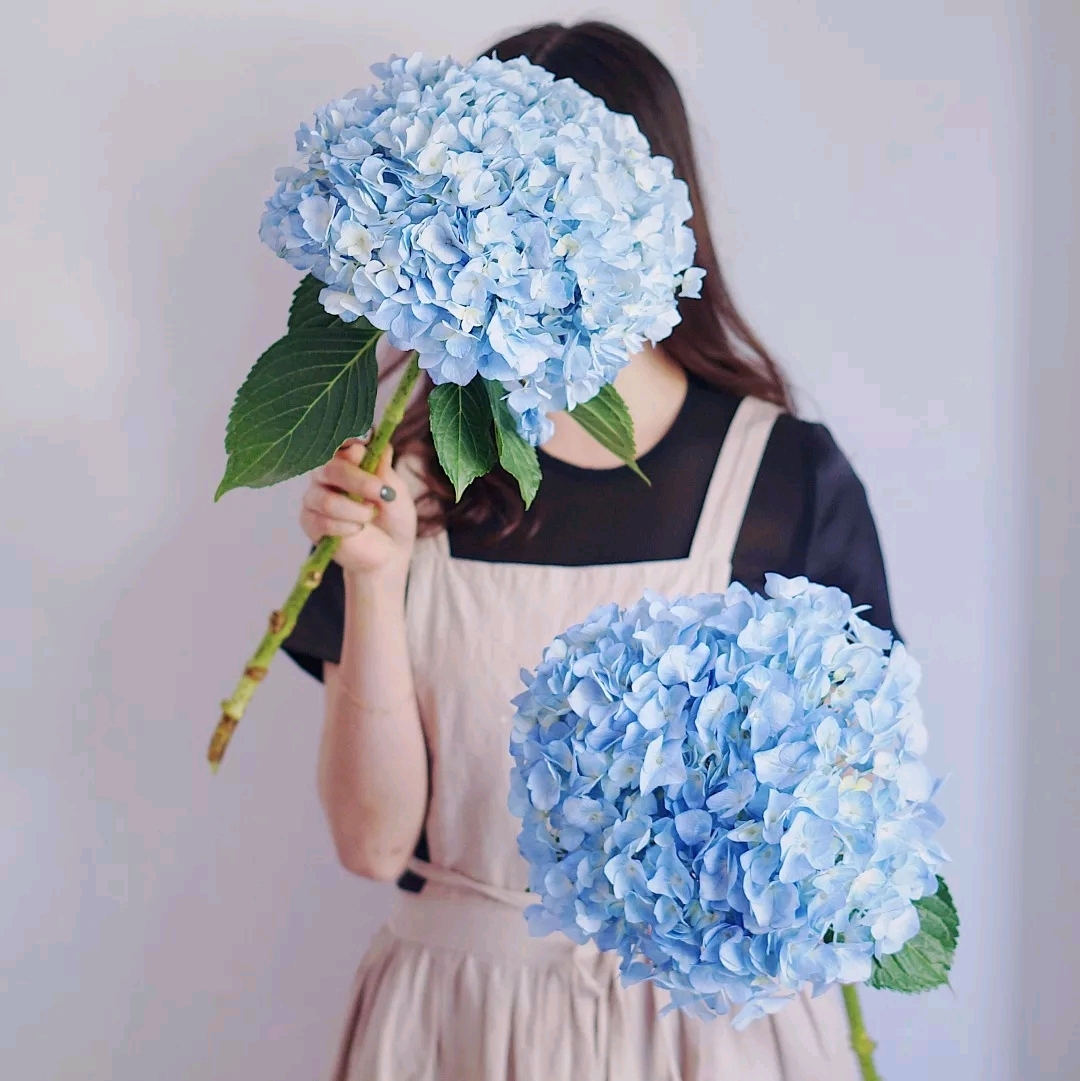 _G7A8820.JPG _G7A8820.JPG