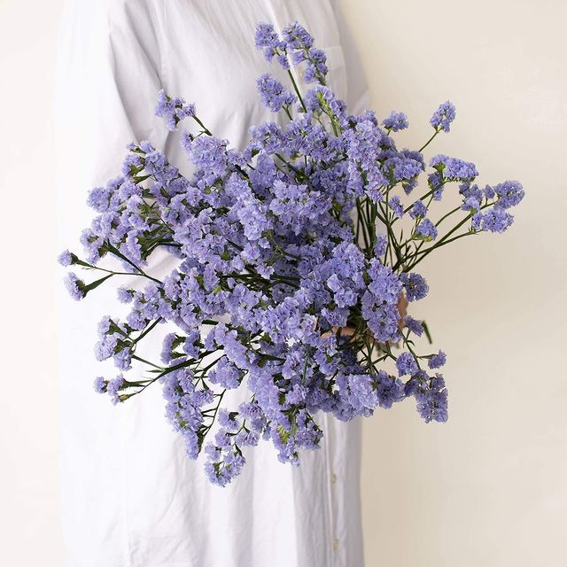 勿忘我 玫红色.jpg 勿忘我 玫红色.jpg