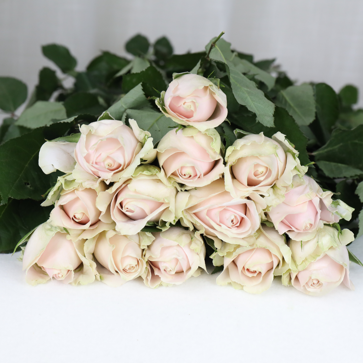 4I7A9486.JPG 4I7A9486.JPG