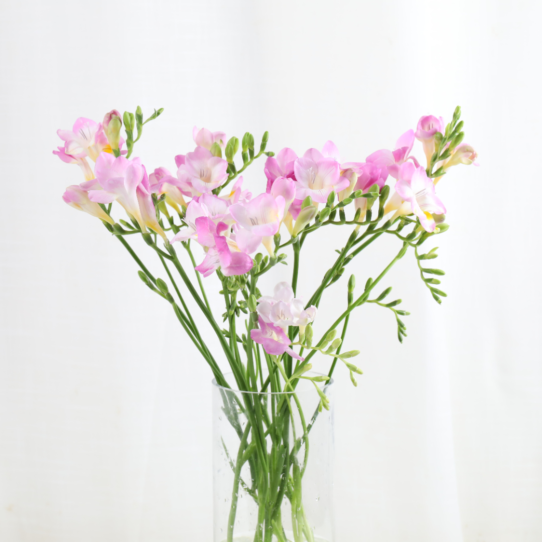 微信图片_202103121213003.jpg 微信图片_202103121213003.jpg