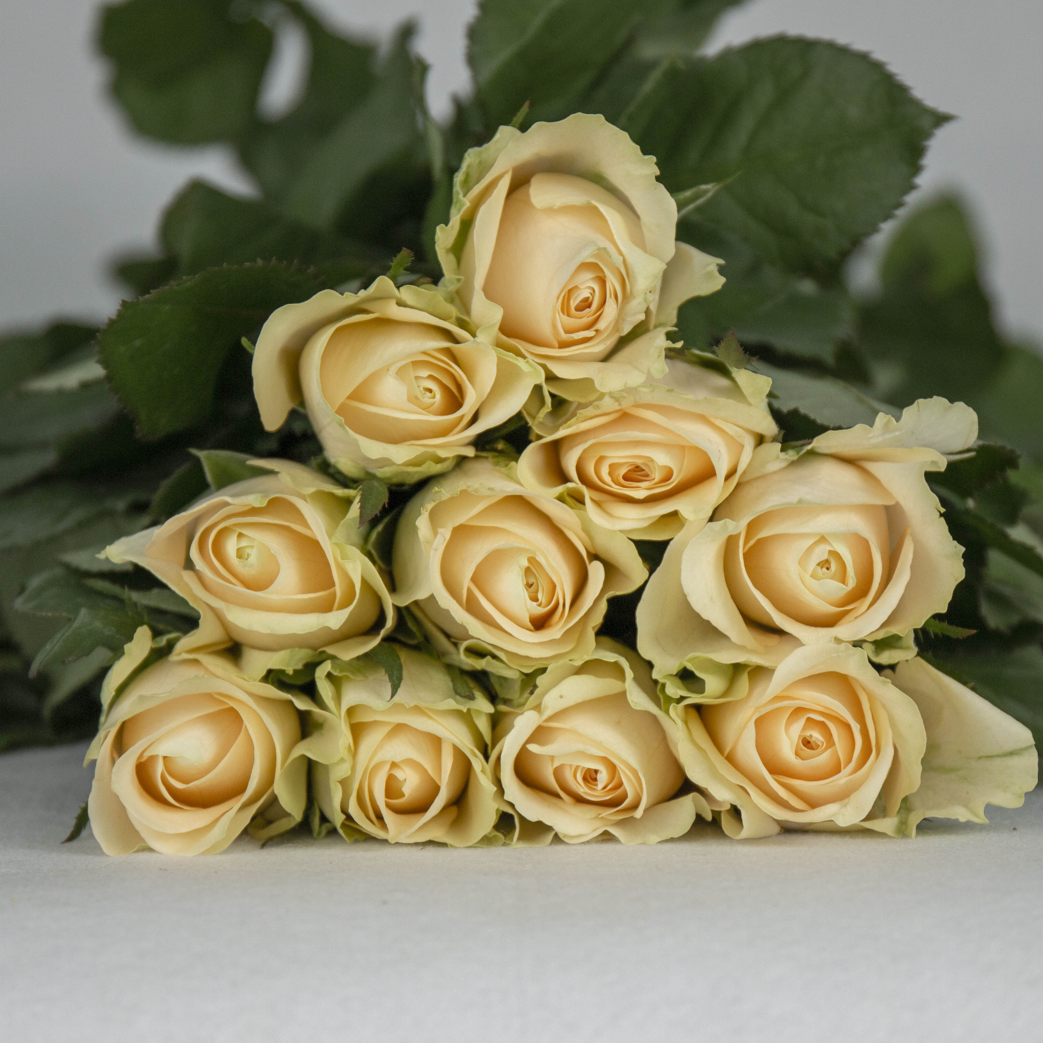 IMG_6722.jpg IMG_6722.jpg