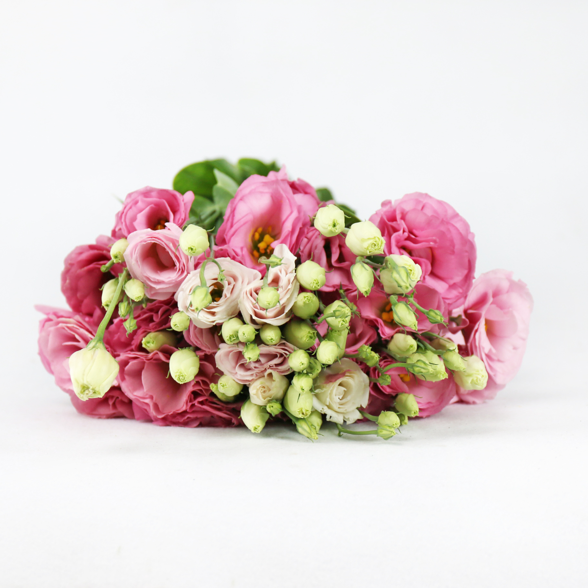 IMG_8065.JPG IMG_8065.JPG