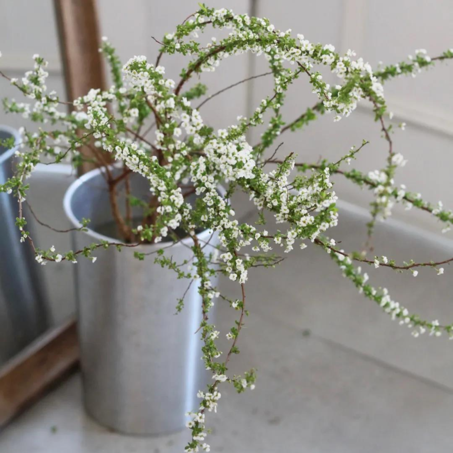 微信图片_20211203155031.jpg 微信图片_20211203155031.jpg