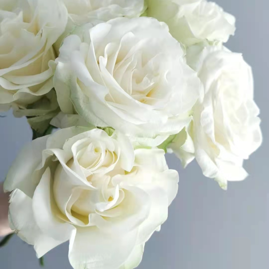 微信图片_202202080958178.jpg 微信图片_202202080958178.jpg