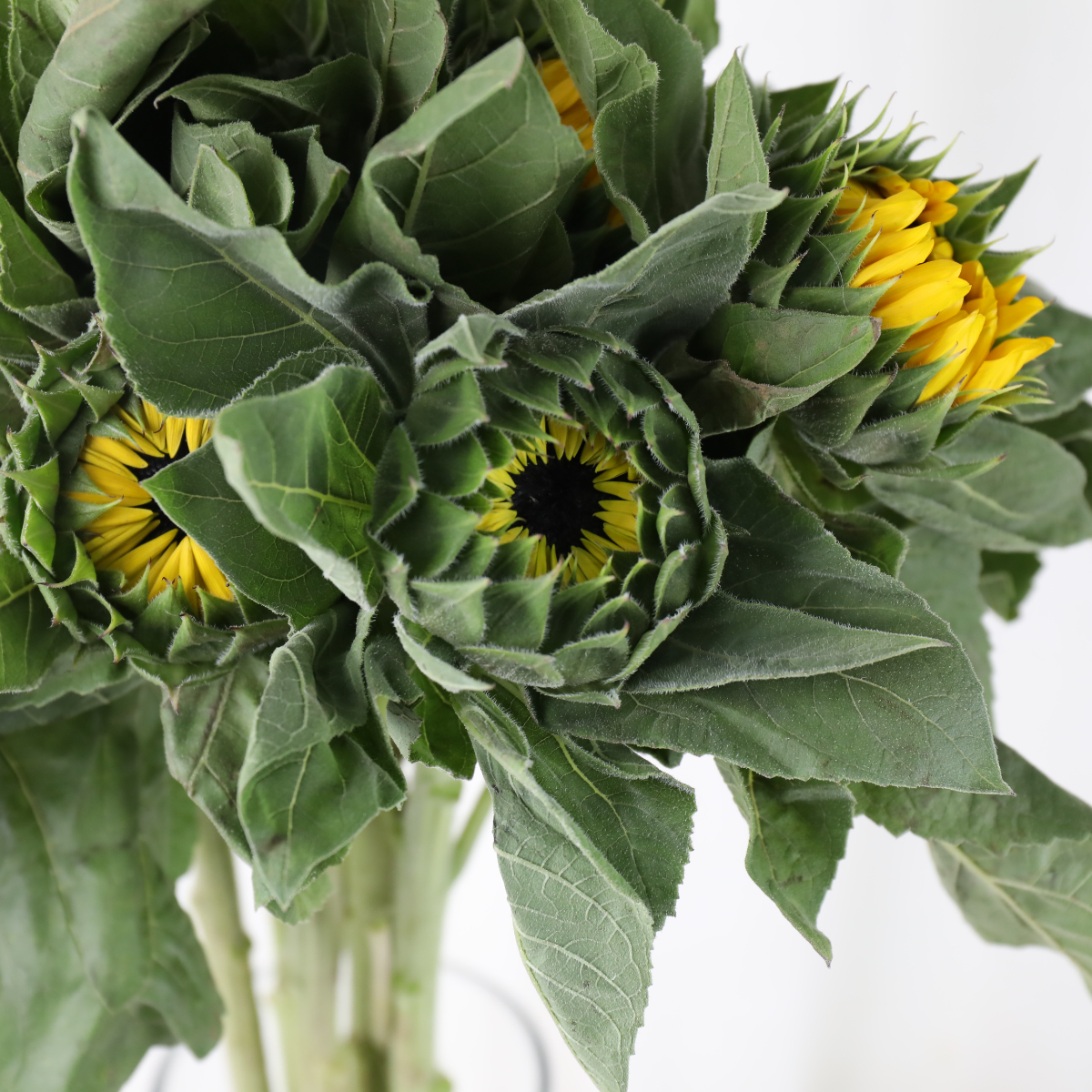 4I7A8929.JPG 4I7A8929.JPG