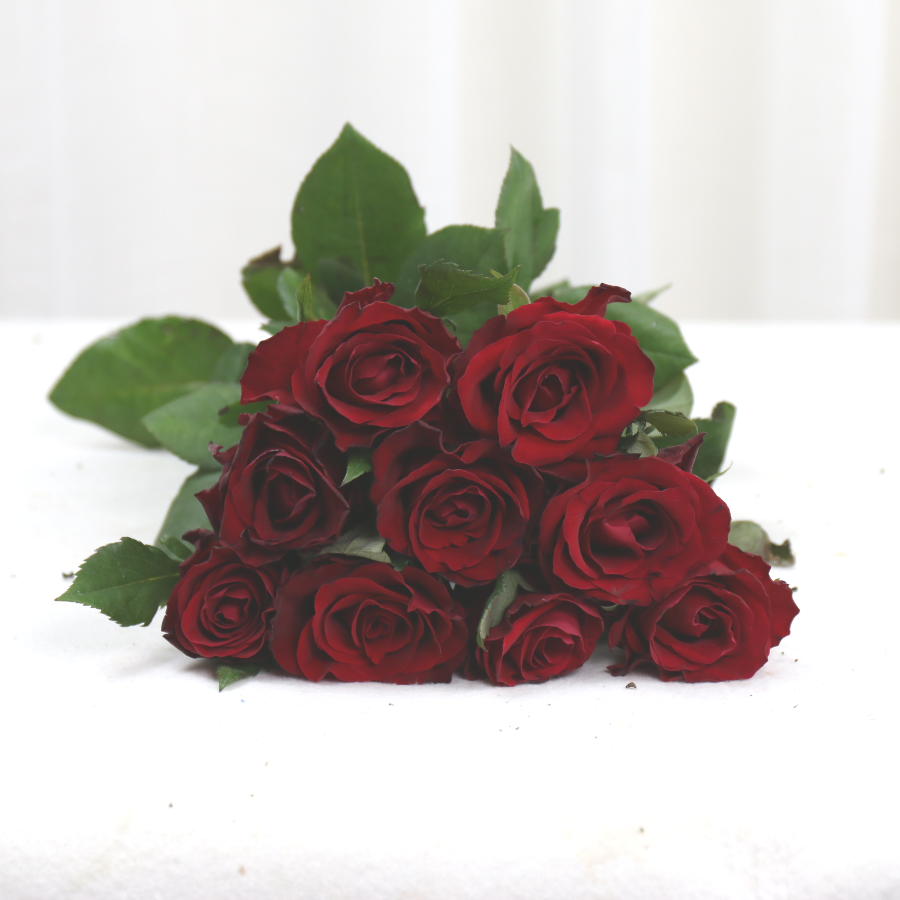 IMG_2132.JPG IMG_2132.JPG