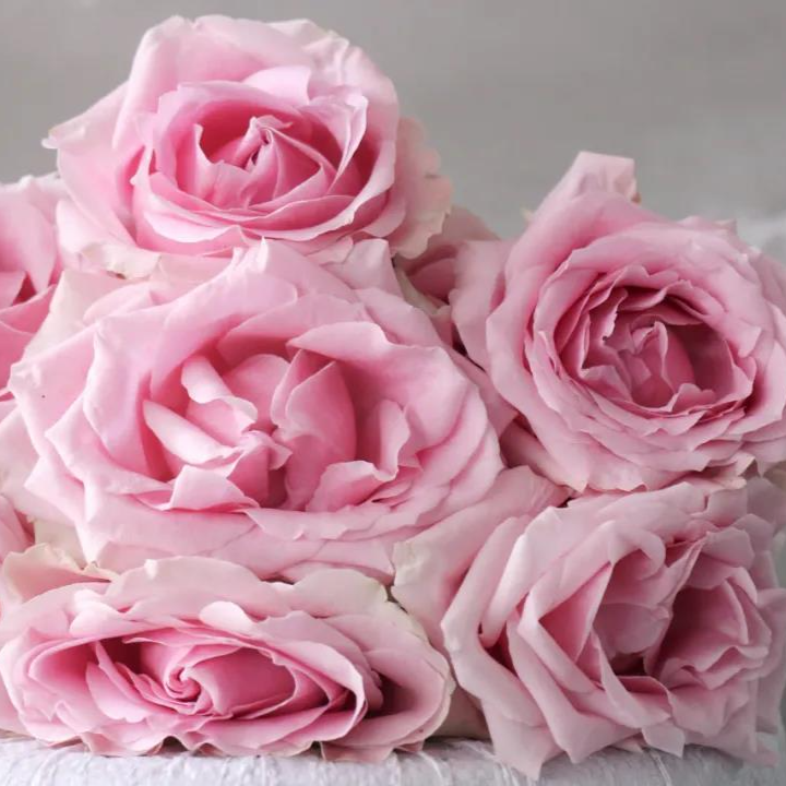 甜蜜雪山.jpg 甜蜜雪山.jpg