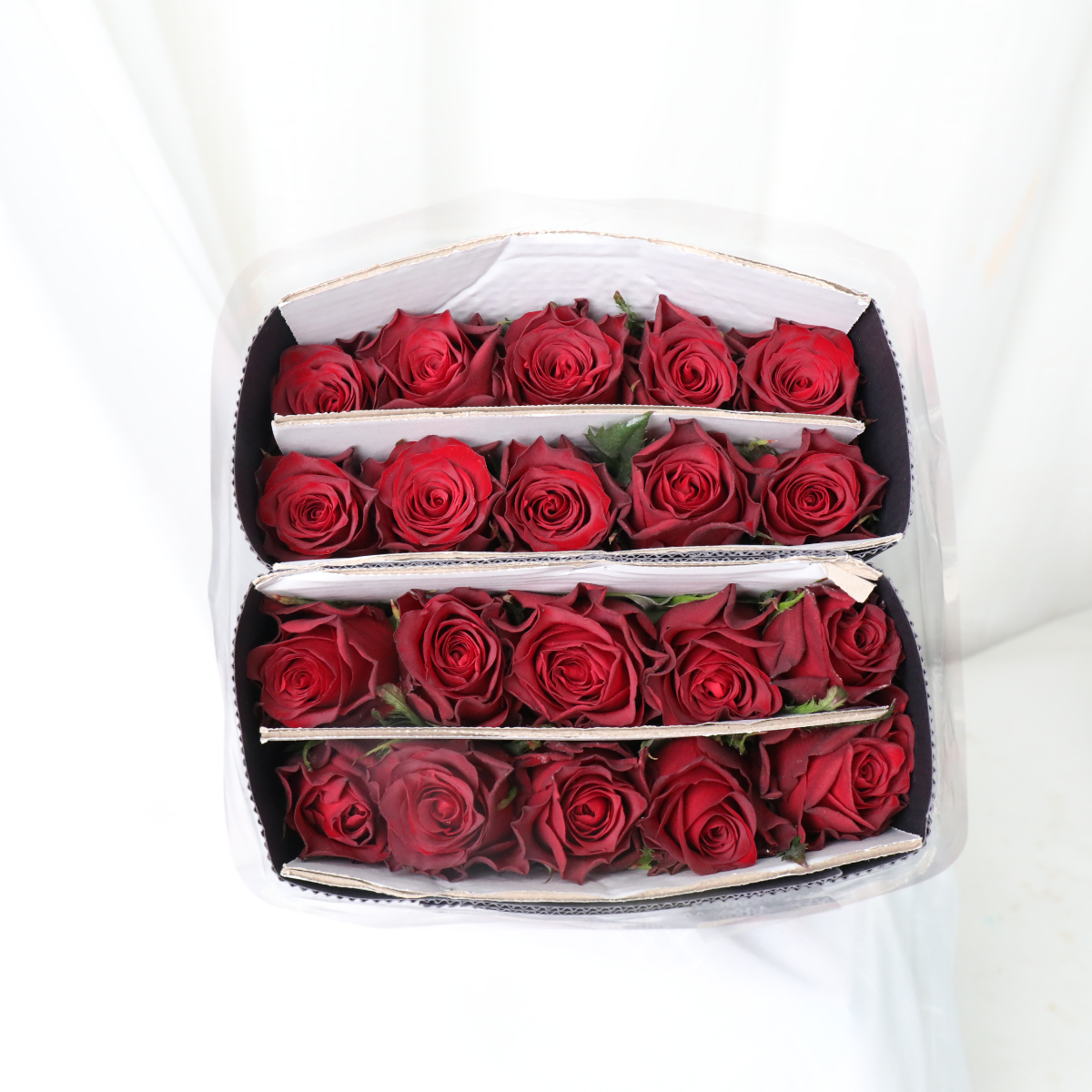 4I7A0614.JPG 4I7A0614.JPG