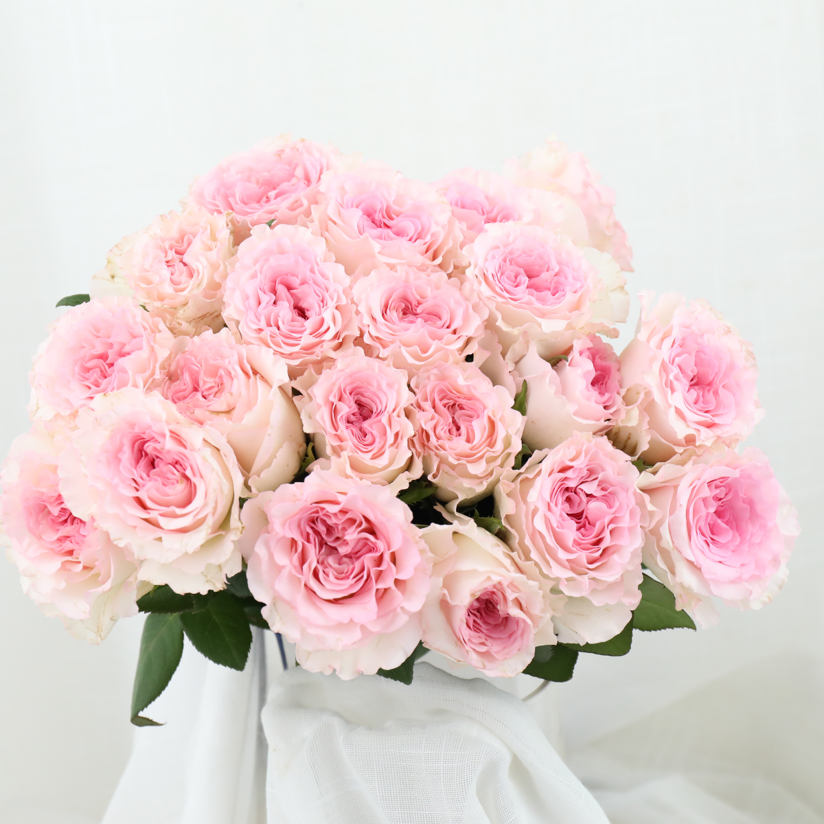 4I7A9873.JPG 4I7A9873.JPG