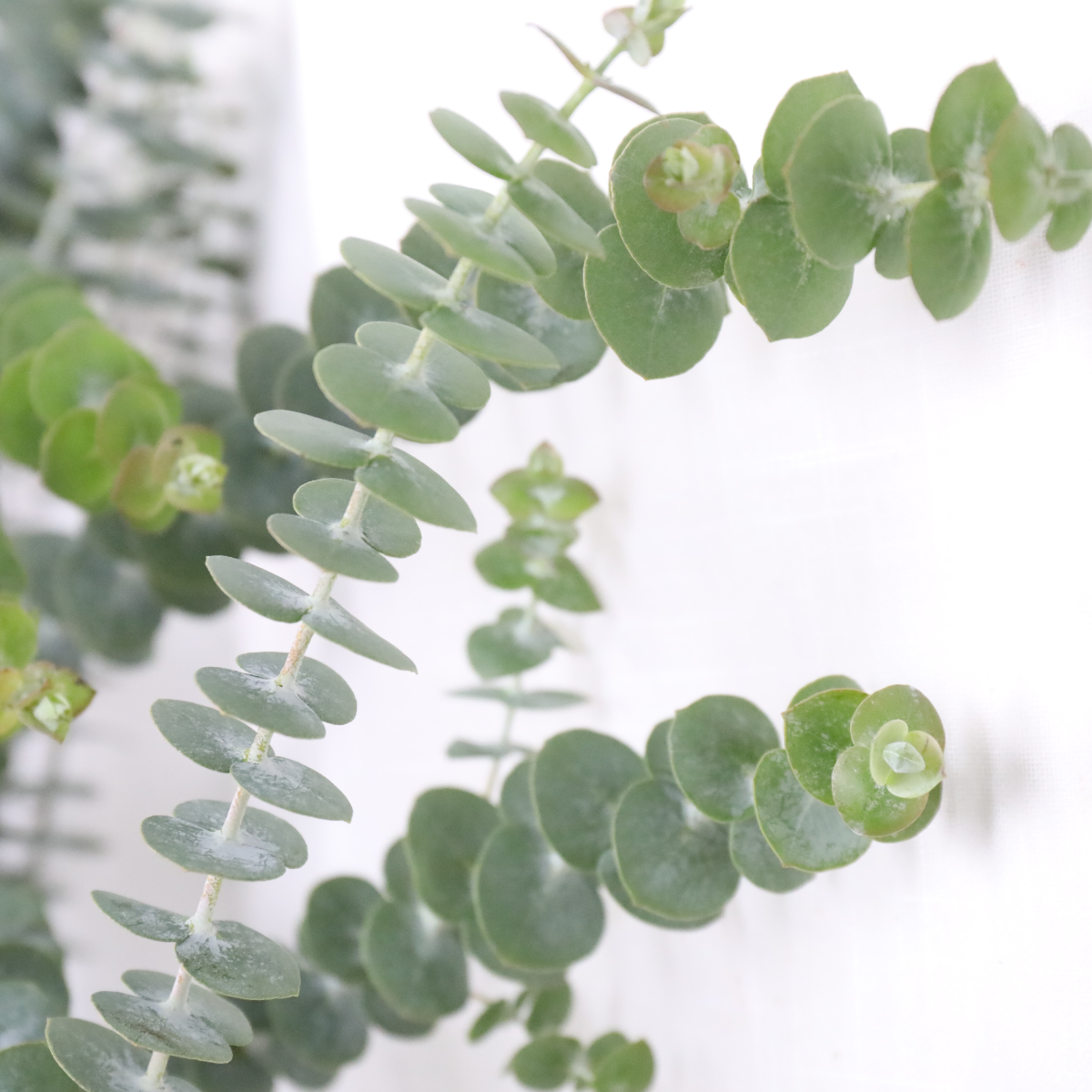 4I7A7444.JPG 4I7A7444.JPG