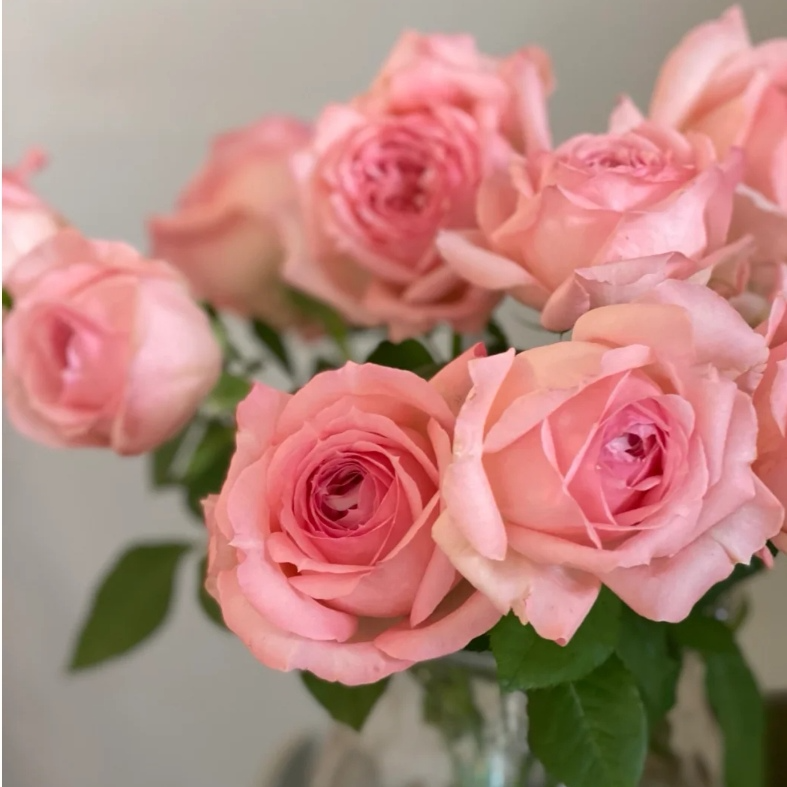 杨贵妃.jpg 杨贵妃.jpg