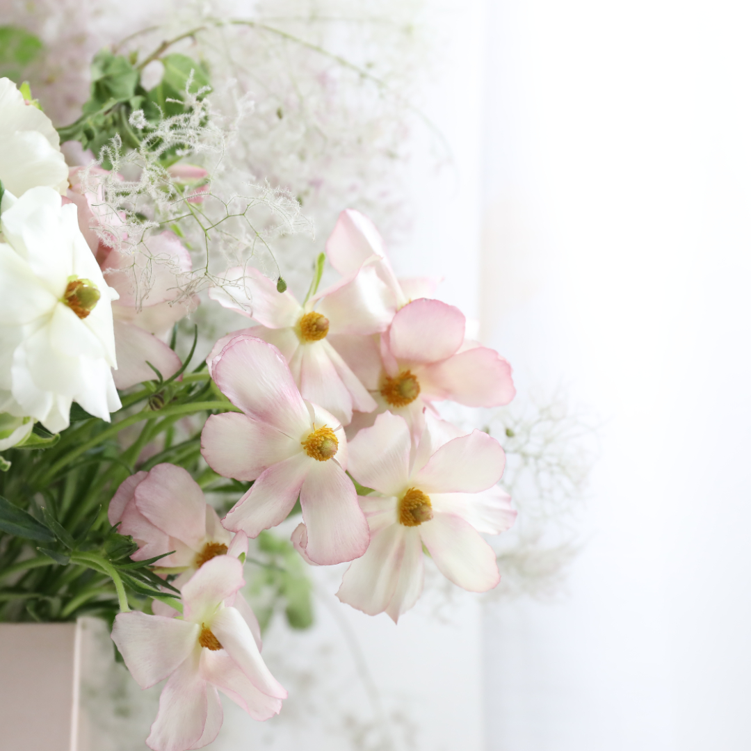 4I7A9331.JPG 4I7A9331.JPG