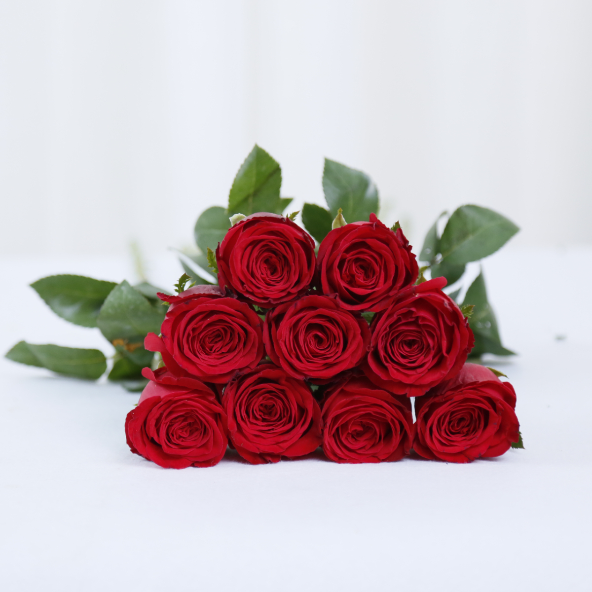 _G7A7180.JPG _G7A7180.JPG