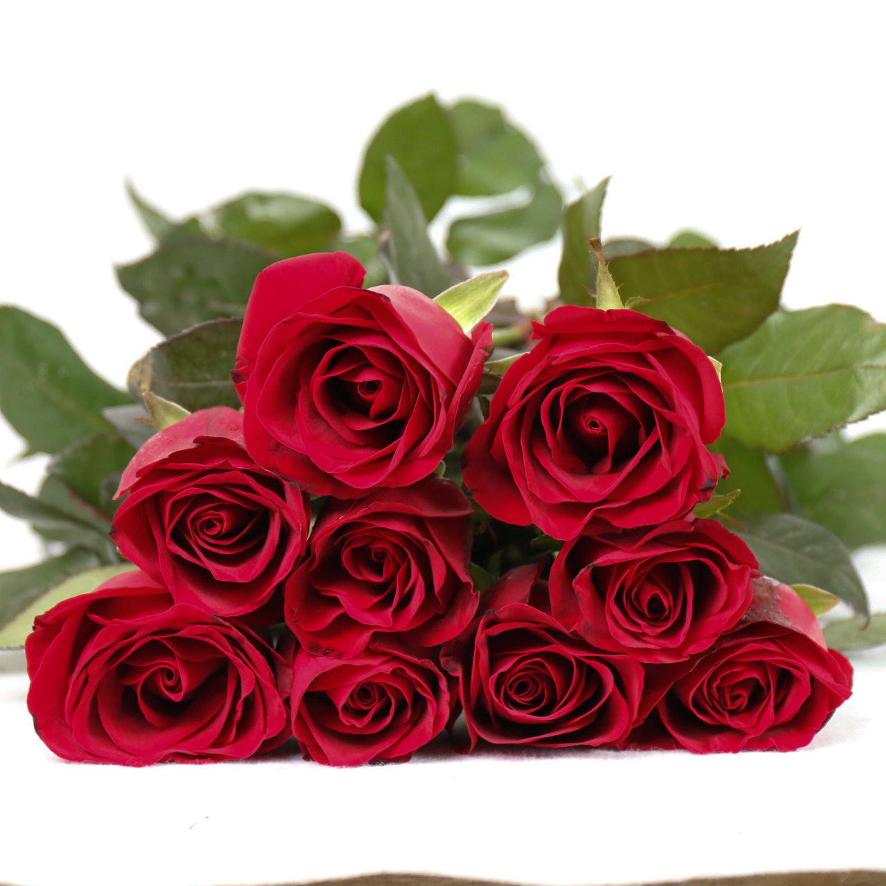 IMG_7434.JPG IMG_7434.JPG