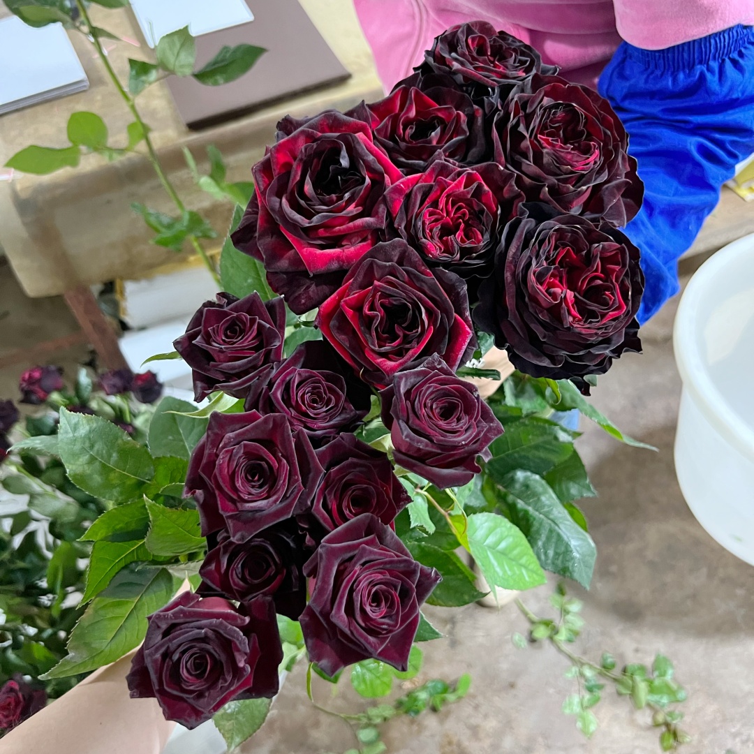 67e17e7c30b26996a7a6fb1a52c87f5.jpg